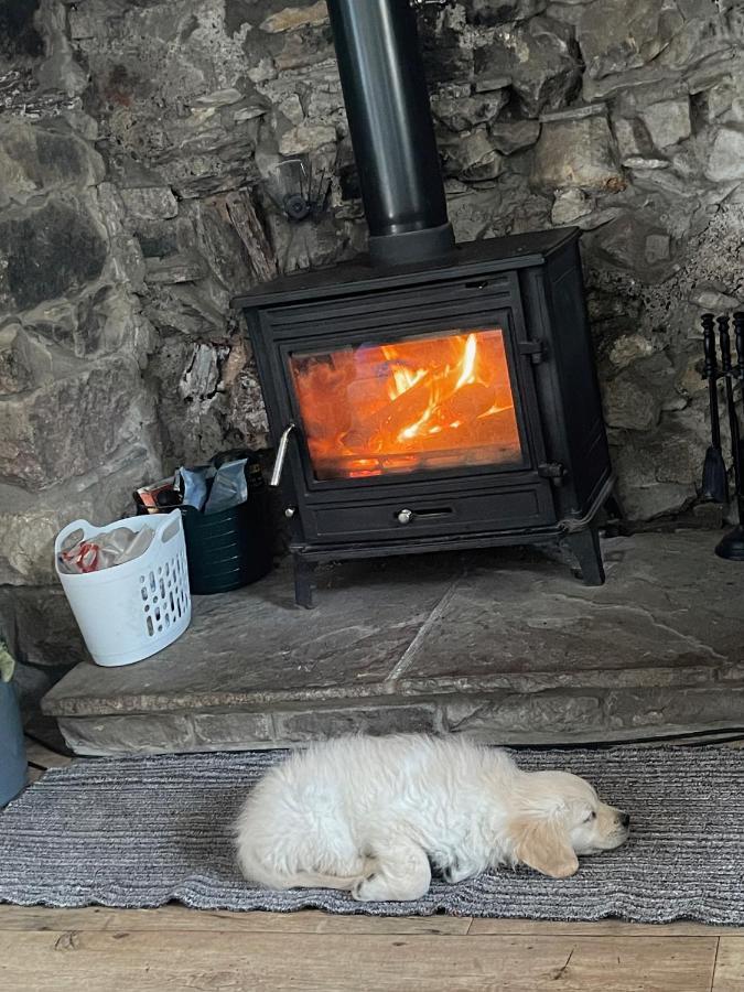 Cwtch Farm Bed & Breakfast Ystalyfera Экстерьер фото